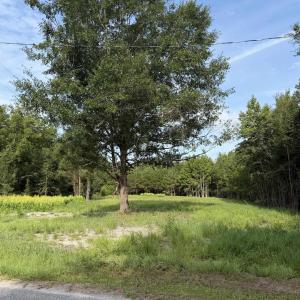 Photo #7 of TBD Hayfield Rd., Georgetown, SC 1.0 acres