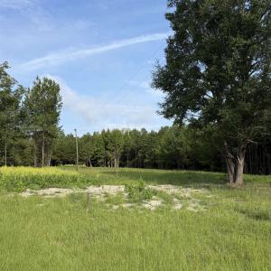 Photo #1 of TBD Hayfield Rd., Georgetown, SC 1.0 acres