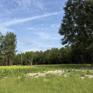 Photo #11 of TBD Hayfield Rd., Georgetown, SC 1.0 acres