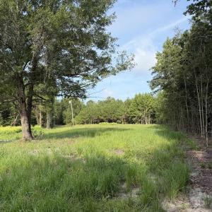 Photo #8 of TBD Hayfield Rd., Georgetown, SC 1.0 acres