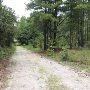 Photo #11 of Young Circle, Kershaw, SC 70.0 acres