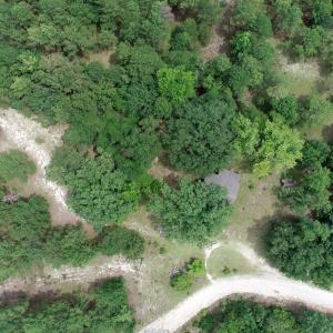 Photo #2 of Young Circle, Kershaw, SC 70.0 acres
