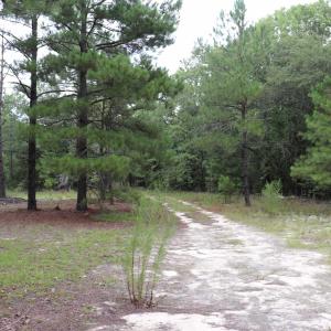 Photo #5 of Young Circle, Kershaw, SC 70.0 acres