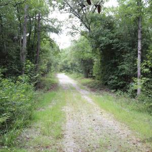 Photo #16 of Young Circle, Kershaw, SC 70.0 acres