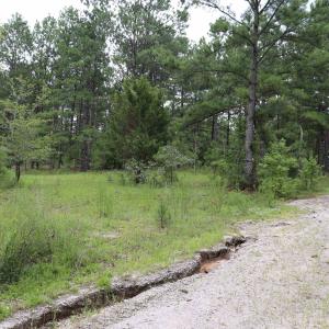 Photo #12 of Young Circle, Kershaw, SC 70.0 acres
