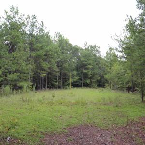 Photo #13 of Young Circle, Kershaw, SC 70.0 acres