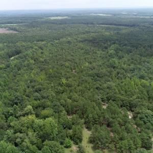 Photo #3 of Young Circle, Kershaw, SC 70.0 acres