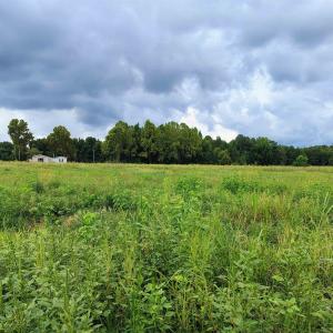 Photo #7 of TBD Old Georgetown Rd., Scranton, SC 7.4 acres