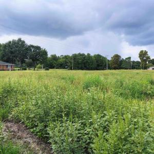 Photo #11 of TBD Old Georgetown Rd., Scranton, SC 7.4 acres