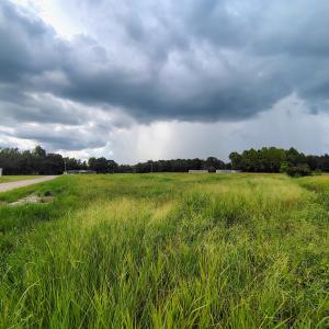 Photo #12 of TBD Old Georgetown Rd., Scranton, SC 7.4 acres