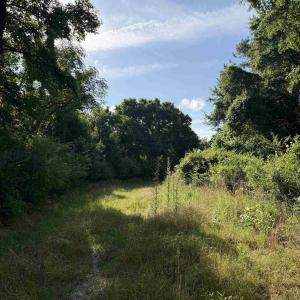 Photo #6 of  81.7 acres
