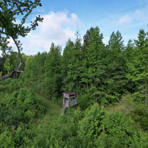 Photo #2 of  81.7 acres