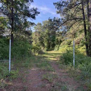 Photo #4 of  81.7 acres