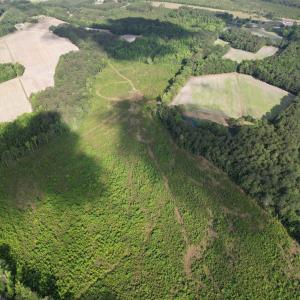 Photo #19 of  81.7 acres