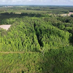 Photo #16 of  81.7 acres