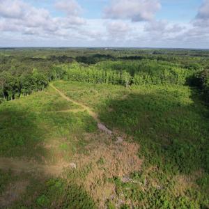 Photo #15 of  81.7 acres