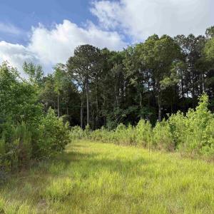 Photo #24 of  81.7 acres