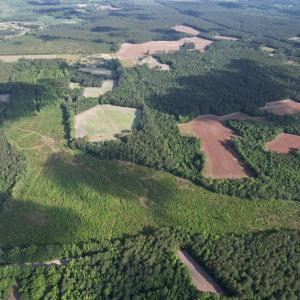 Photo #18 of  81.7 acres