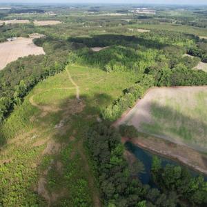 Photo #13 of  81.7 acres