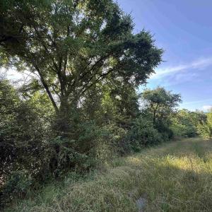Photo #5 of  81.7 acres