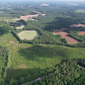 Photo #20 of  81.7 acres