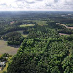 Photo #12 of  81.7 acres
