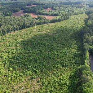 Photo #21 of  81.7 acres
