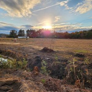 Photo #7 of TBD Strickland Rd., Green Sea, SC 1.0 acres