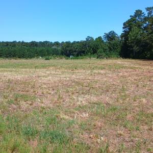 Photo #4 of TBD Strickland Rd., Green Sea, SC 1.0 acres