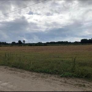 Photo #5 of TBD Strickland Rd., Green Sea, SC 1.0 acres