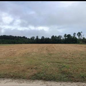 Photo #3 of TBD Strickland Rd., Green Sea, SC 1.0 acres
