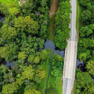 Photo #7 of Meggett Dr., Georgetown, SC 0.8 acres