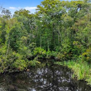 Photo #16 of Meggett Dr., Georgetown, SC 0.8 acres
