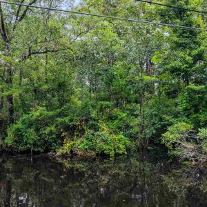 Photo #2 of Meggett Dr., Georgetown, SC 0.8 acres