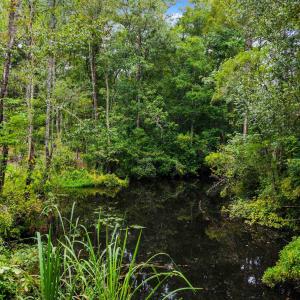 Photo #17 of Meggett Dr., Georgetown, SC 0.8 acres