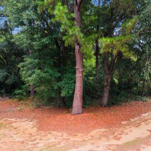 Photo #12 of Meggett Dr., Georgetown, SC 0.8 acres