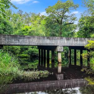 Photo #8 of Meggett Dr., Georgetown, SC 0.8 acres