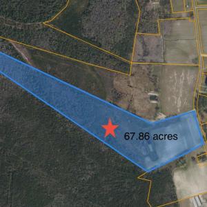 Photo #4 of Highway 19, Nichols, SC 67.9 acres
