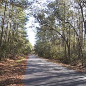 Photo #3 of Lot 25 Crow Hill Dr., Georgetown, SC 1.0 acres