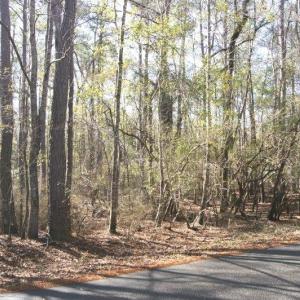 Photo #1 of Lot 25 Crow Hill Dr., Georgetown, SC 1.0 acres