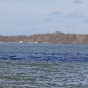 Photo #8 of Lot 25 Crow Hill Dr., Georgetown, SC 1.0 acres