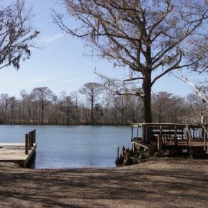 Photo #4 of Lot 25 Crow Hill Dr., Georgetown, SC 1.0 acres
