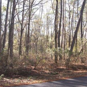 Photo #2 of Lot 25 Crow Hill Dr., Georgetown, SC 1.0 acres