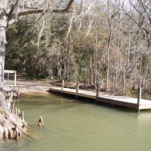 Photo #6 of Lot 25 Crow Hill Dr., Georgetown, SC 1.0 acres