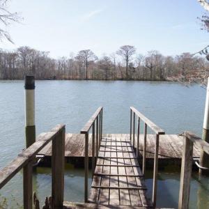 Photo #5 of Lot 25 Crow Hill Dr., Georgetown, SC 1.0 acres