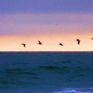 Photo #33 of Lot 1-A Brace Dr., Pawleys Island, SC 1.6 acres