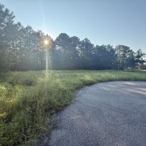 Photo #6 of 359 Cedar Grove Church Rd, Johnsonville, SC 0.5 acres