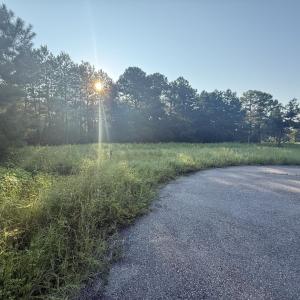 Photo #5 of 359 Cedar Grove Church Rd, Johnsonville, SC 0.5 acres
