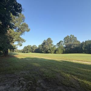 Photo #11 of 359 Cedar Grove Church Rd, Johnsonville, SC 0.5 acres