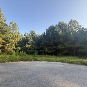 Photo #2 of 359 Cedar Grove Church Rd, Johnsonville, SC 0.5 acres